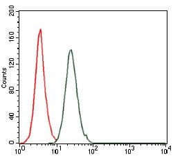 FOS / c-FOS Antibody (clone 2G2)
