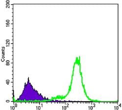 Monoclonal Mouse anti-Human IL34 Antibody (clone 1D12, IF, WB)
