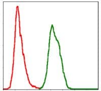 Monoclonal Mouse anti-Human SKP1 Antibody (clone 1H9, IHC, WB)