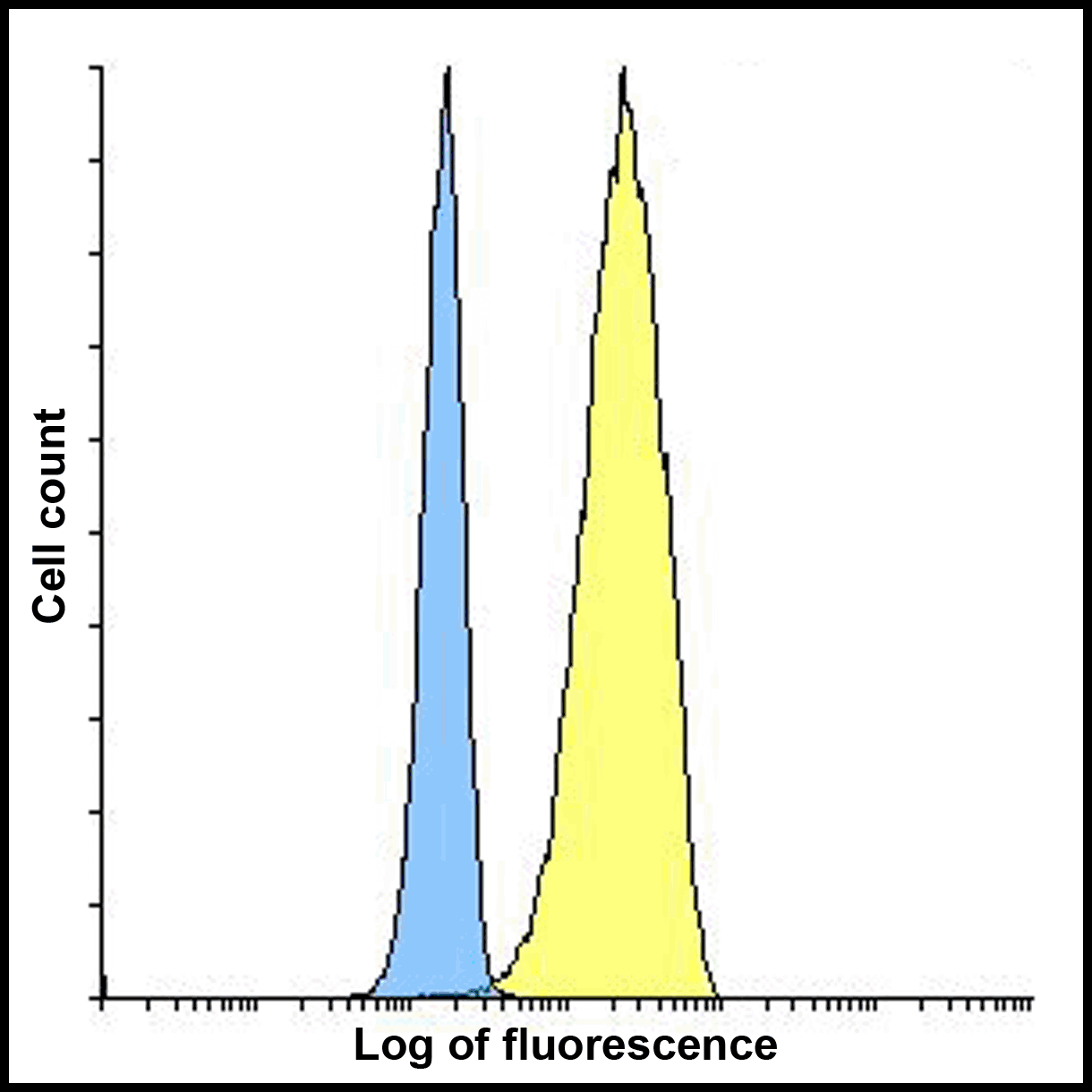 CD80 Antibody (clone 11D1)
