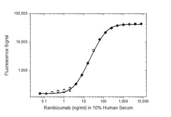 Human VEGFA / VEGF Protein (Recombinant)