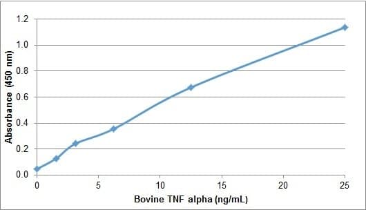 Bovine TNF Alpha Protein (Recombinant)