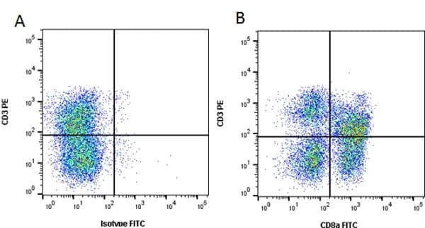 CD8A / CD8 Alpha Antibody (clone 11/295/33)