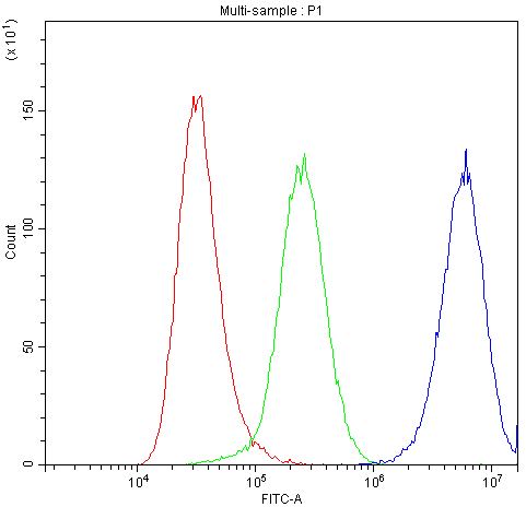 BAX Antibody (DY488)