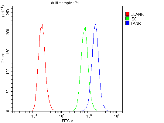 Polyclonal Rabbit anti-Human TANK Antibody (IHC, WB)