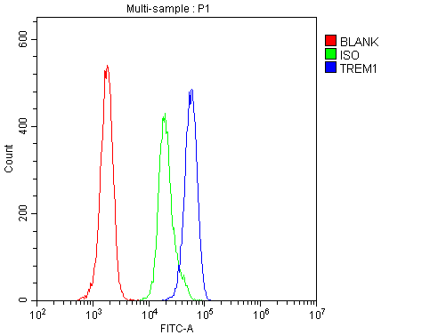 TREM1 Antibody