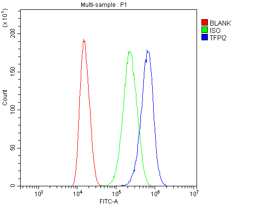 TFPI2 Antibody