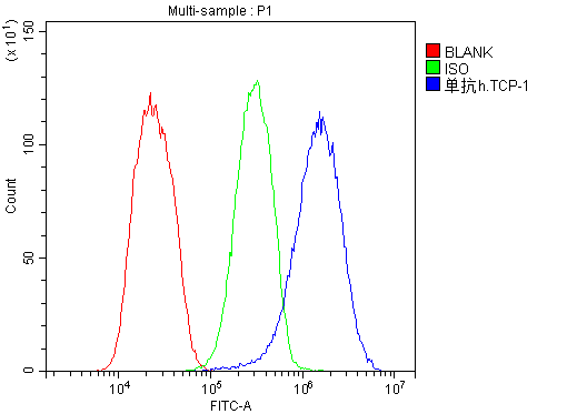 Monoclonal Mouse anti-Human TCP1 Antibody (IHC, WB)