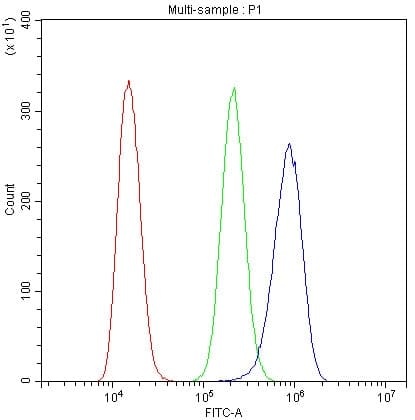 CYCS / Cytochrome c Antibody (clone 15F10)