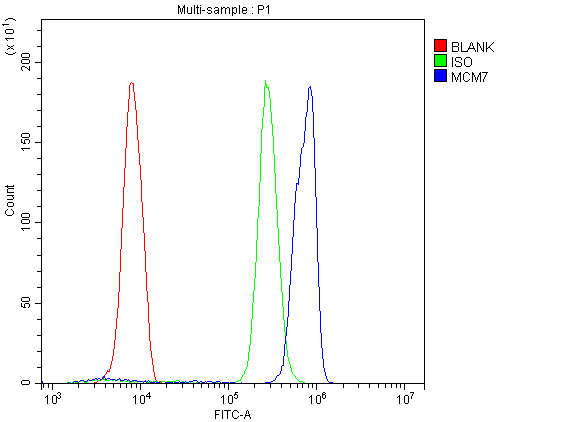 MCM7 Antibody (aa526-719)