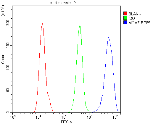 MCM7 Antibody (aa526-719)