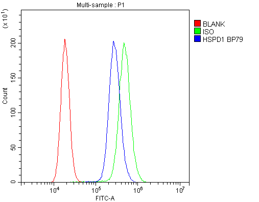 HSPD1 / HSP60 Antibody (aa260-496)