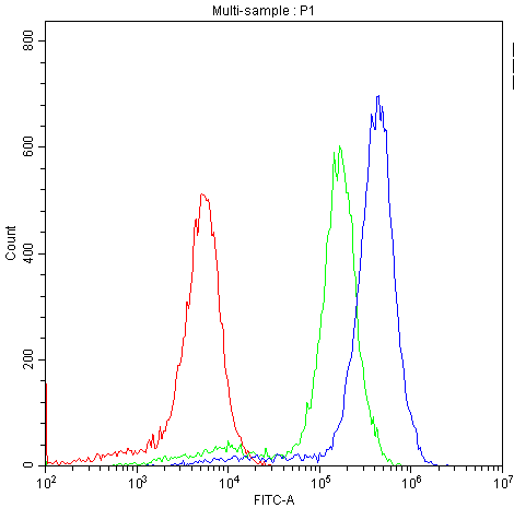 SCARB1 / SR-BI Antibody (aa478-509)