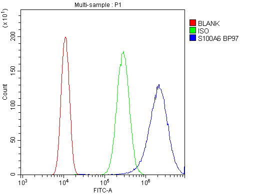 S100A6 / Calcyclin Antibody (aa1-90)