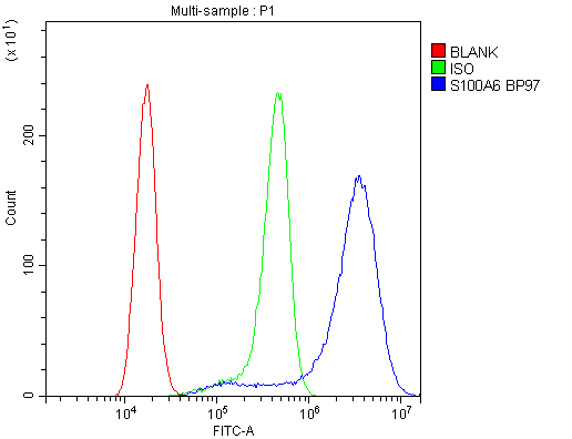 S100A6 / Calcyclin Antibody (aa1-90)