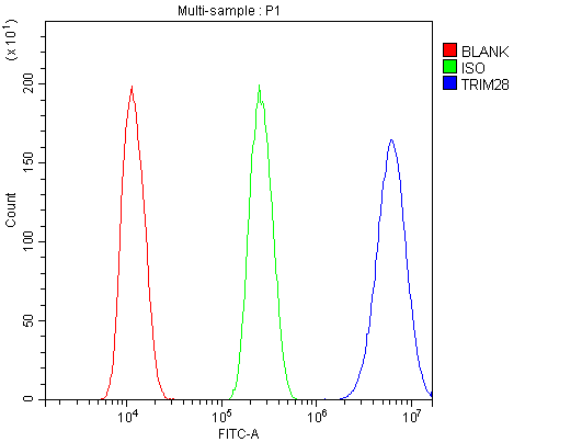 Polyclonal Rabbit anti-Human TRIM28 / KAP1 Antibody (aa699-835, IHC, WB)