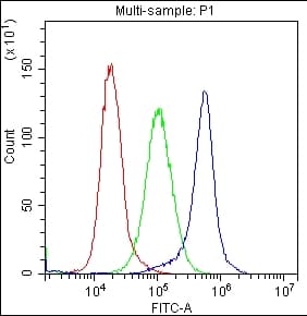 Polyclonal Rabbit anti-Human CD59 Antibody (aa26-102, IHC)