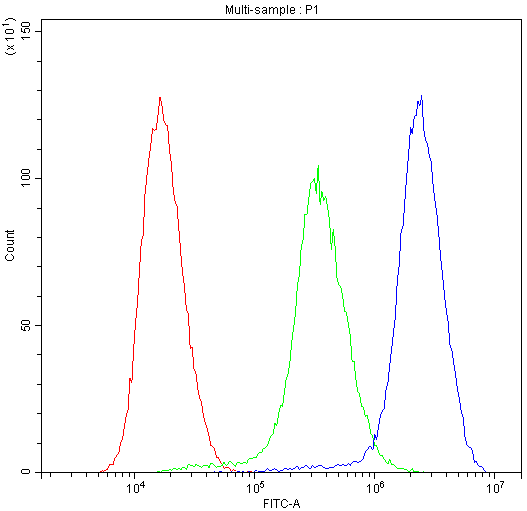 NME1 / NM23 Antibody (aa26-58)