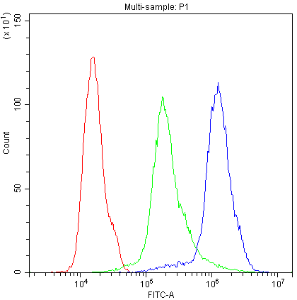 NME1 / NM23 Antibody (aa26-58)