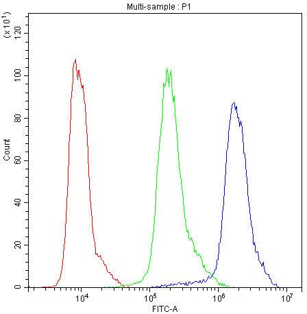 NME1 / NM23 Antibody (aa26-58)