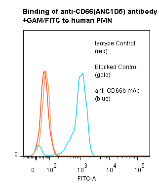 Monoclonal Mouse anti-Human CEACAM8 / CD66b Antibody (clone ANC1D5, Preservative Free)