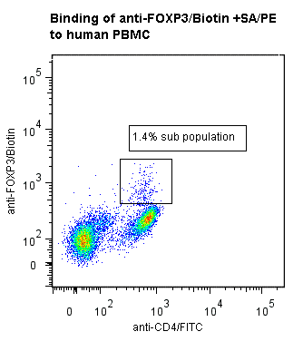 Monoclonal Mouse anti-Human FOXP3 Antibody (clone ANCFX2D7, Biotin)