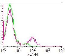 Monoclonal Mouse anti-Human CD19 Antibody (clone CB19, FITC)