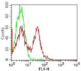 CD78 Antibody (clone FN1, FITC)