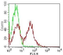 Monoclonal Mouse anti-Human CD24 Antibody (clone 32D12, FITC)
