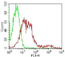 CD24 Antibody (clone 32D12, FITC)