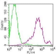 SPN / CD43 Antibody (clone WEN3)