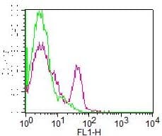 CD19 Antibody (clone AE1, FITC)
