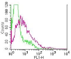 SPN / CD43 Antibody (clone WEN3, FITC)