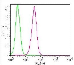 CD45 / LCA Antibody (clone EO-1, FITC)