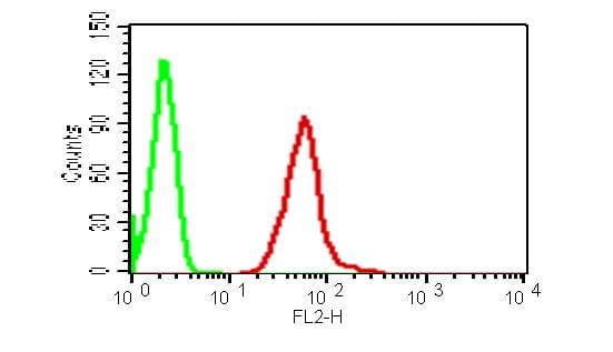 Monoclonal Mouse anti-Human TSLP Antibody (WB)