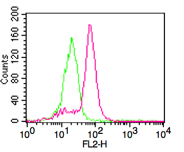 CD78 Antibody (clone FN4)