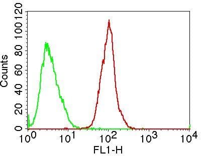 Monoclonal Mouse anti-Human TLR8 Antibody (FITC)