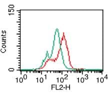 TLR5 Antibody (Azide-free)