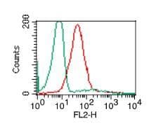 TLR2 Antibody (Azide-free)
