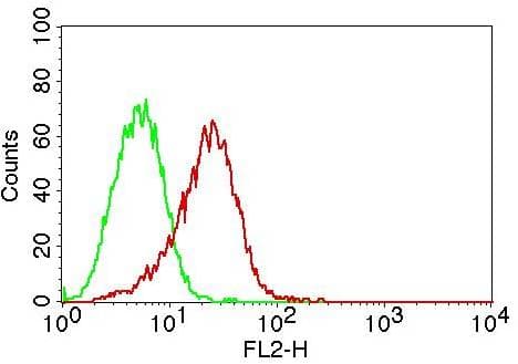 TLR2 Antibody (Azide-free)