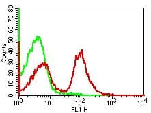 CD19 Antibody (clone 1D3)
