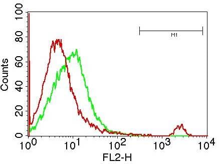 CD19 Antibody (clone CB19)