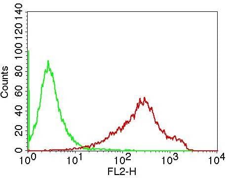 CD19 Antibody (clone CB19)