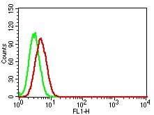 Monoclonal Rat anti-Mouse HAVCR2 / TIM-3 Antibody