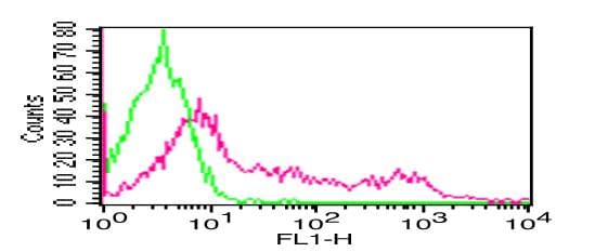 Monoclonal Mouse anti-Human CD8 Antibody (clone RPAT8, FITC)
