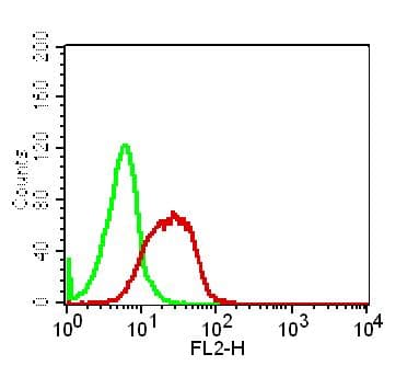 TNF Alpha Antibody