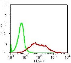TNF Alpha Antibody