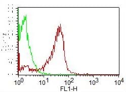 CD7 Antibody (clone BF12, FITC)