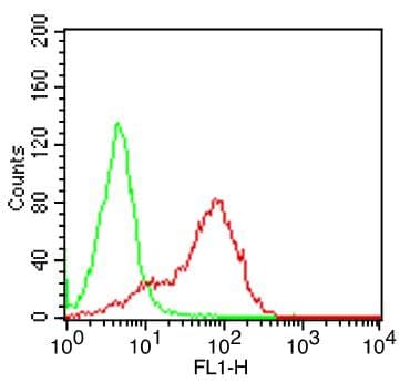CD7 Antibody (clone BF12)