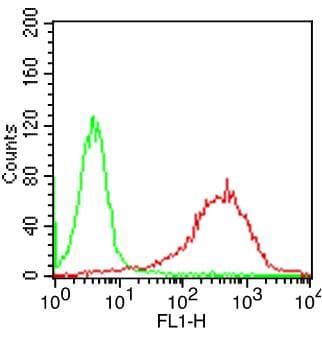 Monoclonal Mouse anti-Human CD6 Antibody (clone SPV14)